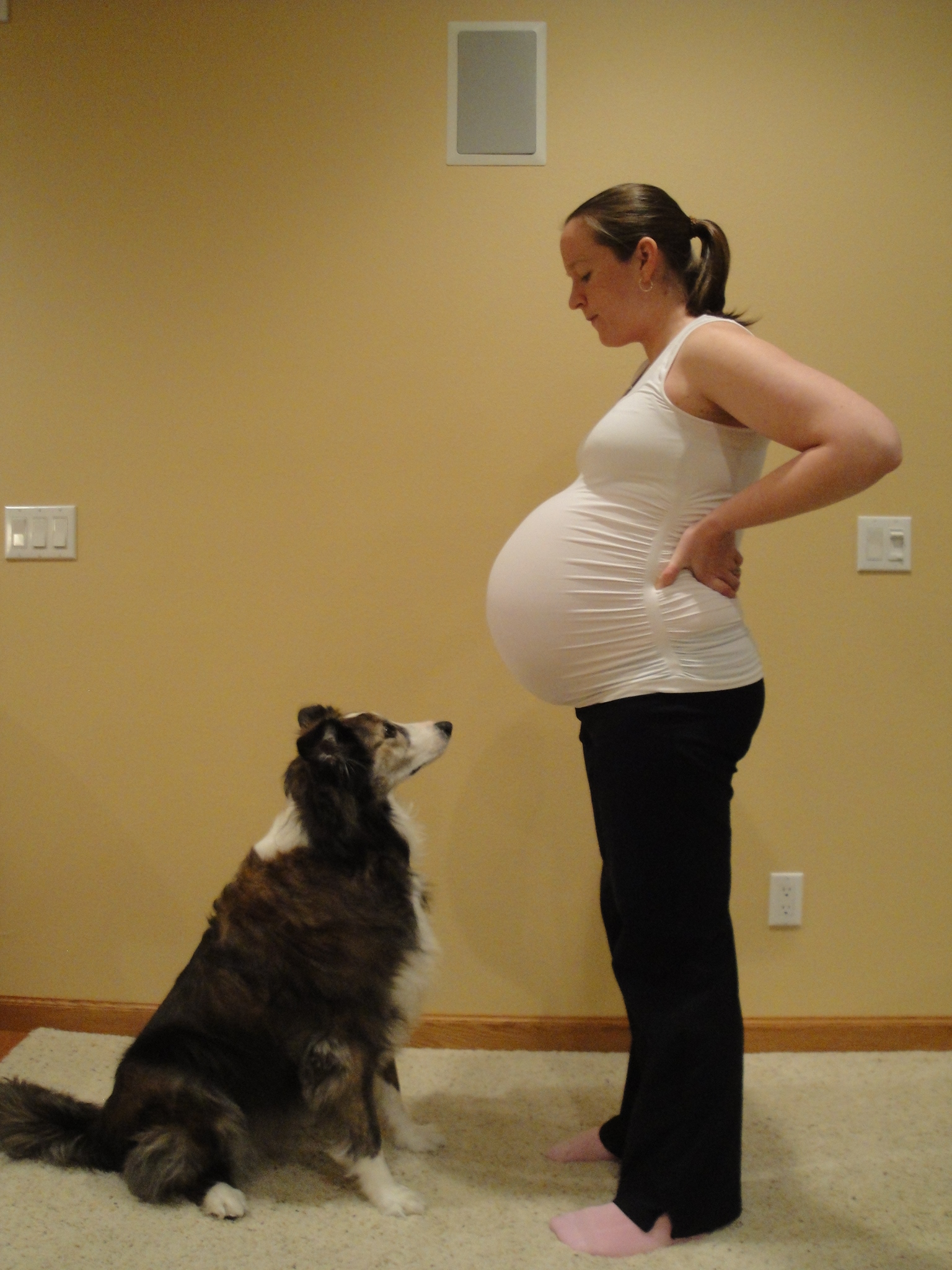 40 недель беременности вторые. Беременные животы на 40 неделе.